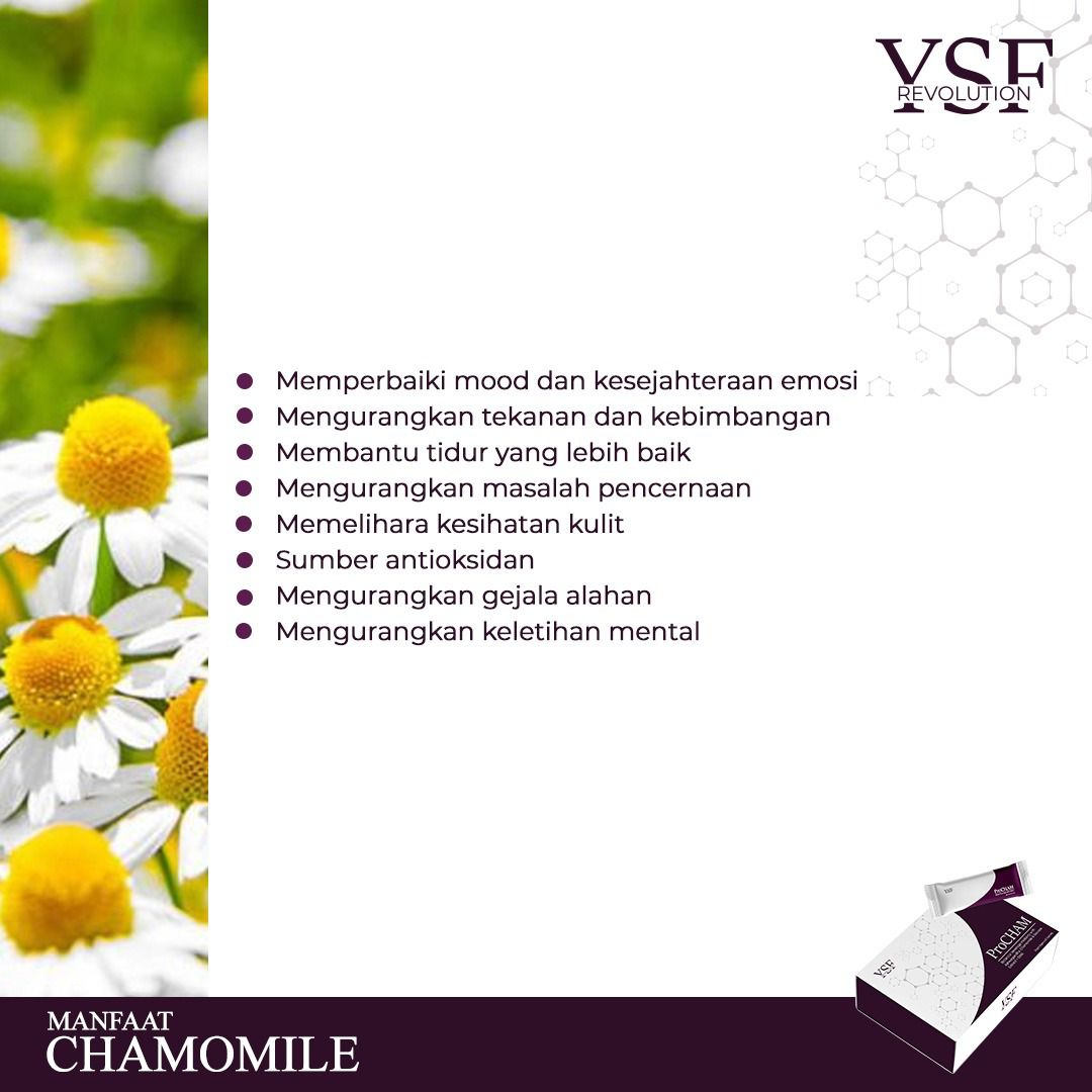 chamomile