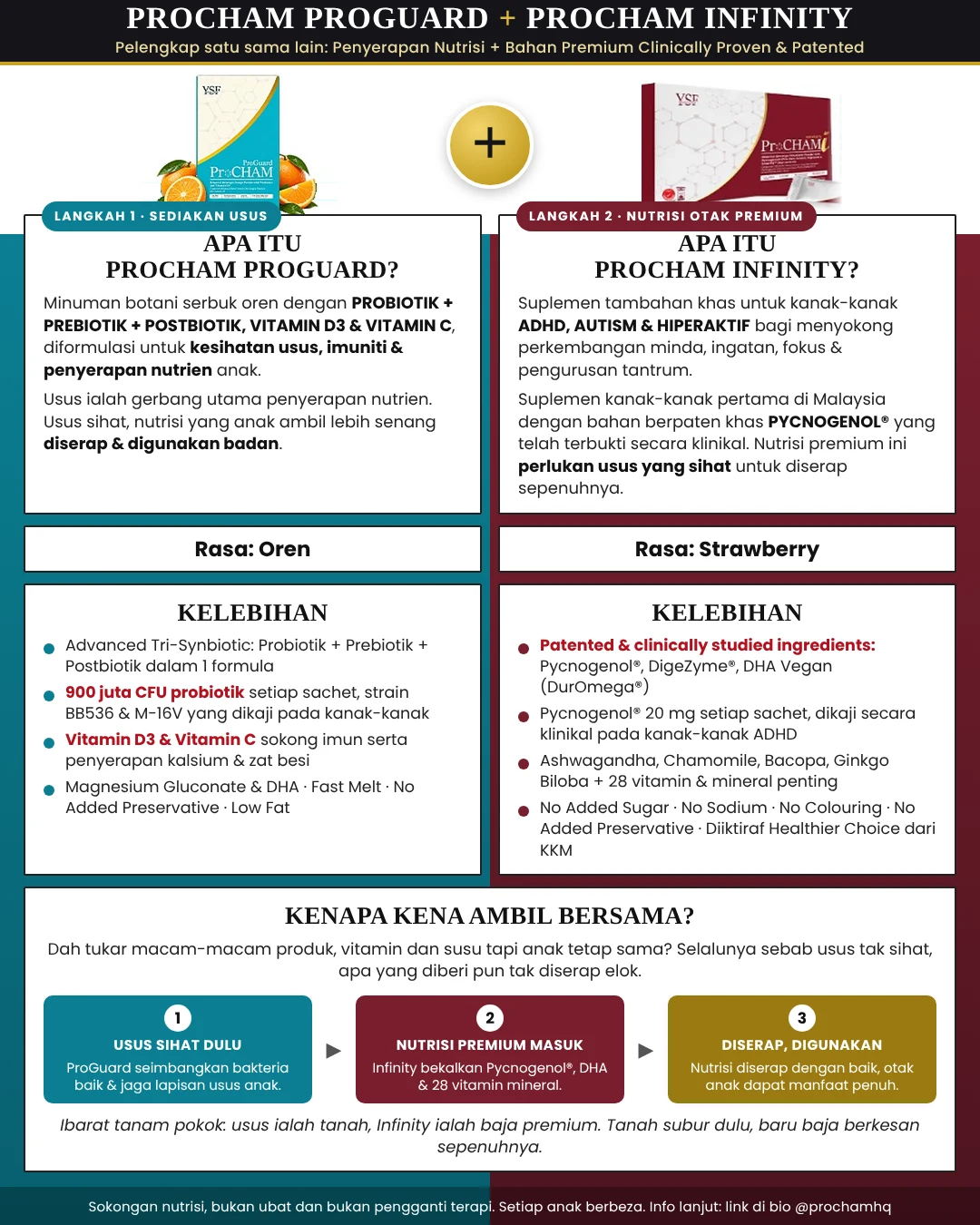 Apa itu ProChAm ProGuard dan ProChAm Infinity