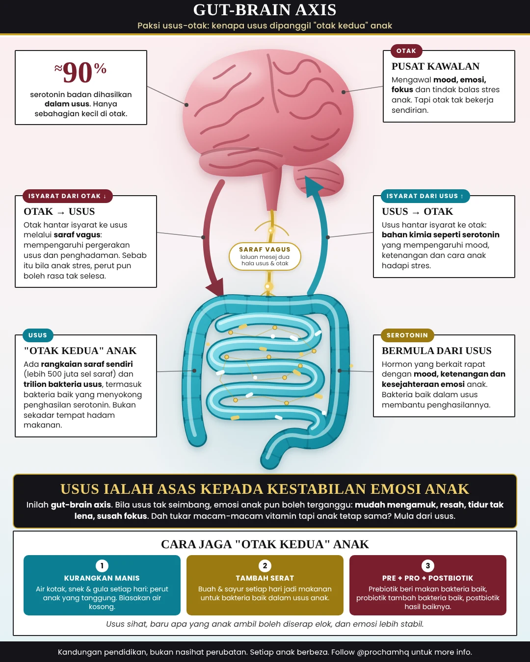 Gut-brain axis: usus ialah otak kedua anak
