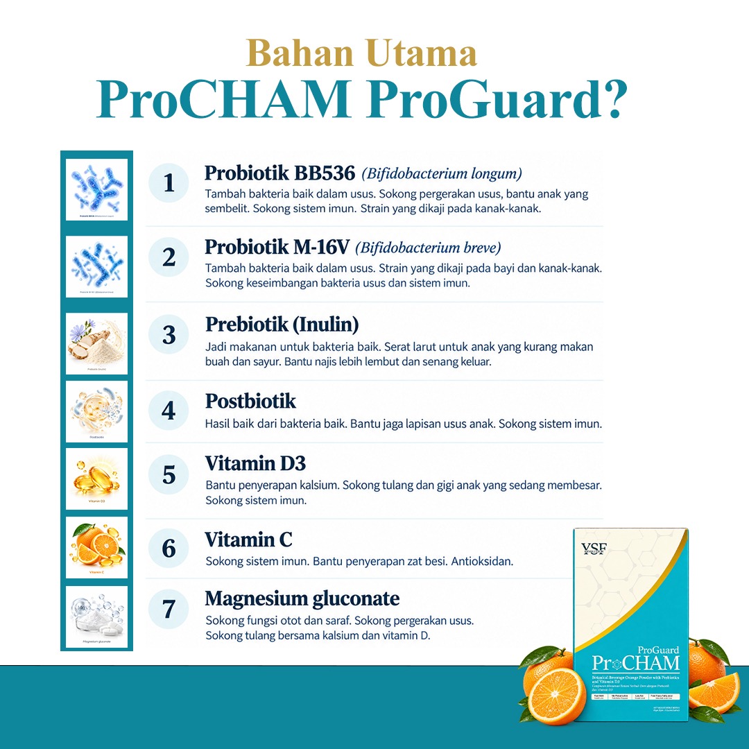 Bahan utama ProChAm ProGuard